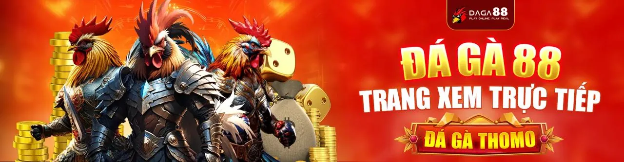 Hình ảnh đá gà trực tuyến tại 168bet
