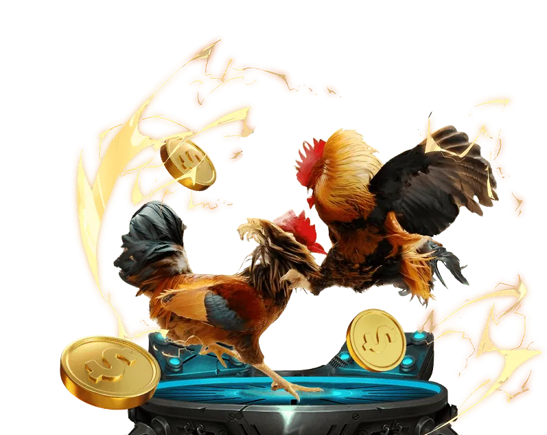 Trải nghiệm đá gà trực tiếp tại FABET